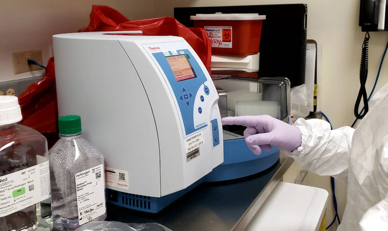 COURTESY DEPARTMENT OF HEALTH
                                The State Laboratories Division began a molecular surveillance program in June to identify any new strains and so far has completed genome sequencing on nearly 700 virus samples.