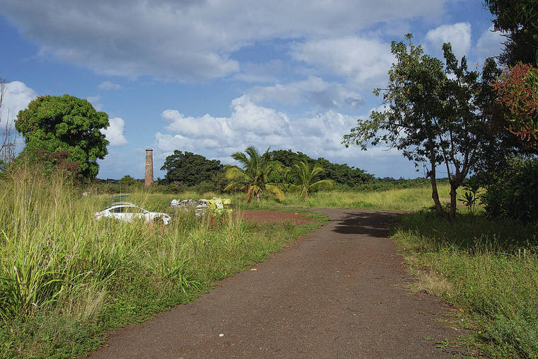 CINDY ELLEN RUSSELL / CRUSSELL@STARADVERTISER.COM
                                About 90 farmers have expressed interest in using the proposed food hub, says project leader Justin Alexander. Above, the old Waialua Sugar Co. factory smokestack still stands on the property.