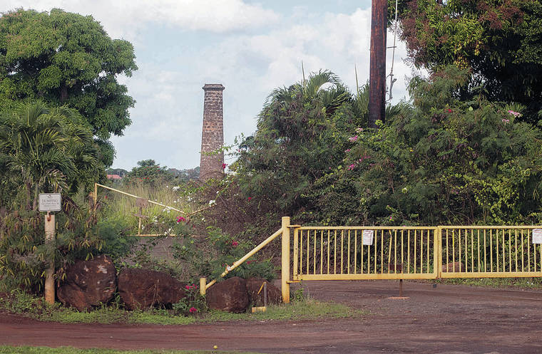 CINDY ELLEN RUSSELL / CRUSSELL@STARADVERTISER.COM
                                A developer plans to build a gin and vodka distillery on the old Waialua Sugar Co. site along with a farm processing facility, commercial kitchen and farmers market.