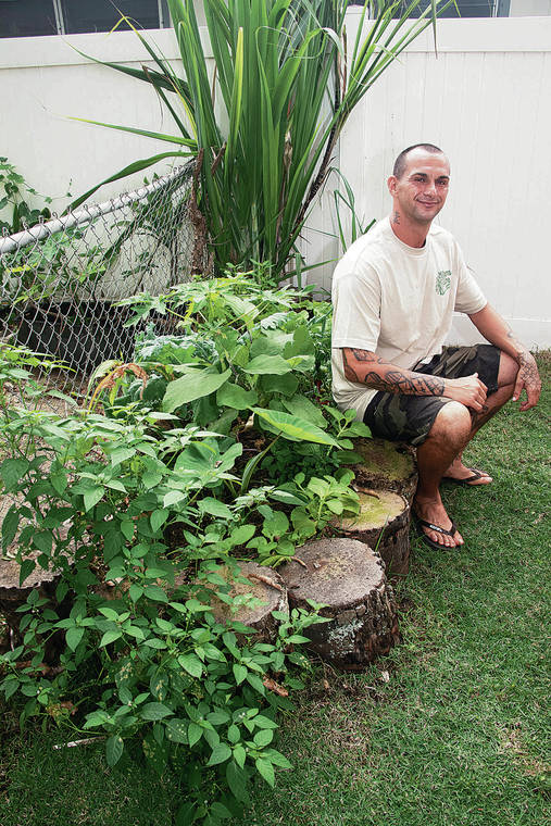 CRAIG T. KOJIMA / CKOJIMA@STARADVERTISER.COM
                                Chance Correa of Malama Aina Landscapes designed an edible garden for his client Asaiah Scott in Kailua. The garden was created just last fall during the pandemic and is already bearing lots of edibles.