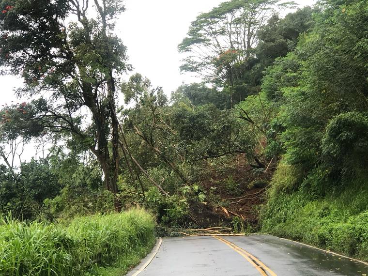 COURTESY PHOTO
                                A view of the landslide that shut down Kuhio Highway on Kauai, as seen from Hanalei.