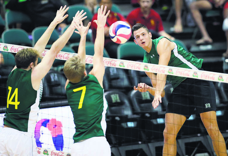 Jamm Aquino / 2019
                                Hawaii opposite Rado Parapunov (19) puts a kill past Concordia-Irvine during the second set of a men’s NCAA volleyball game on Jan. 11, 2019 at the Stan Sheriff Center.