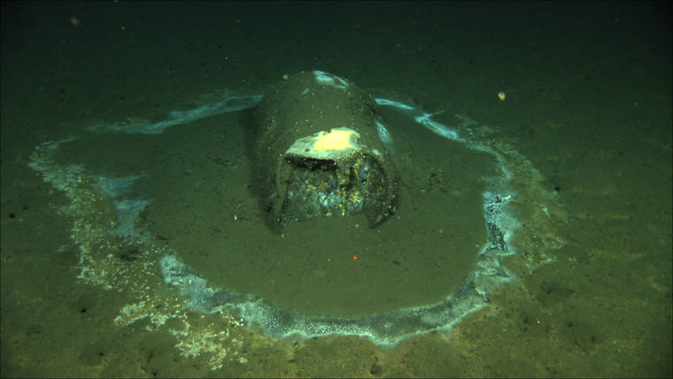 COURTESY UCSB
                                In this 2011 image provided by the University of California Santa Barbara, a barrel sits on the seafloor near the coast of Catalina Island, Calif. Marine scientists say they have found what they believe to be as many as 25,000 barrels that possibly contain DDT dumped off the Southern California coast near Catalina Island.