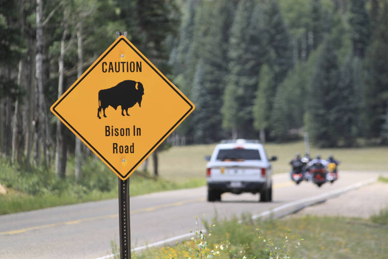 ASSOCIATED PRESS / 2016
                                A park ranger and a group of motorcyclists pass a sign warning of bison within the Grand Canyon National Park in northern Arizona. The National Park Service is opening a rare opportunity for skilled volunteers to help reduce the population of bison that are roaming the far reaches of Arizona. Thousands of people are expected to apply for one of 12 spots to lethally remove bison later this year at Grand Canyon National Park.