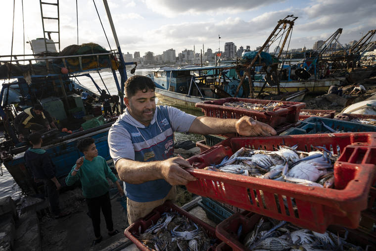 ASSOCIATED PRESS
                                Fisherman load a horse-drawn cart before delivering their haul to market after a limited number of boats were allowed to return to the sea following a cease-fire reached after an 11-day war between Hamas and Israel, in Gaza City, today.