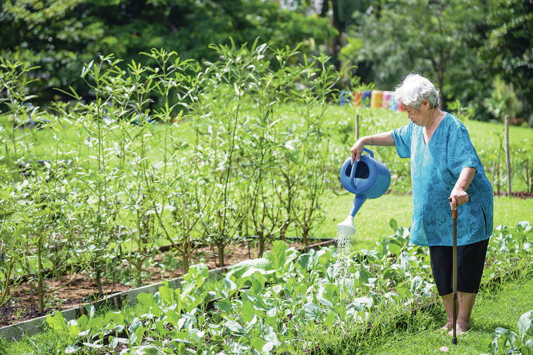 DREAMSTIME / TRIBUNE NEWS SERVICE
                                Staying active as you age is good for mind and body. Gardening can bring the bonus of providing yourself with fresh, healthful produce to eat — which can help keep wrinkles at bay.