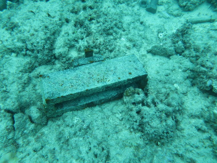 COURTESY DLNR
                                Debris found on top of coral colonies at the Honolulu Harbor entrance channel after a dredging job this month. Divers found extensive damage to coral colonies during water quality monitoring.