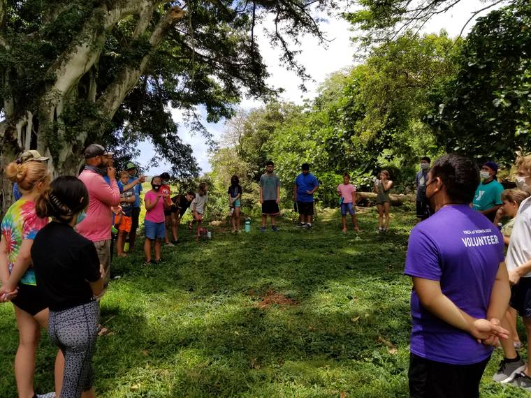 COURTESY YMCA OF HONOLULU
                                As part of their free YMCA summer memberships, teens may take part in outdoor service activities at places such as Ulupo Heiau Kawainui Loi, pictured here.