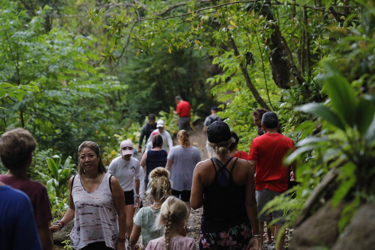 JAMM AQUINO / JAQUINO@STARADVERTISER.COM
                                The Manoa Falls hiking trail reopened to the public Saturday, coinciding with National Trails Day. Hikers of all ages explored the popular trail that had been closed for two years.
