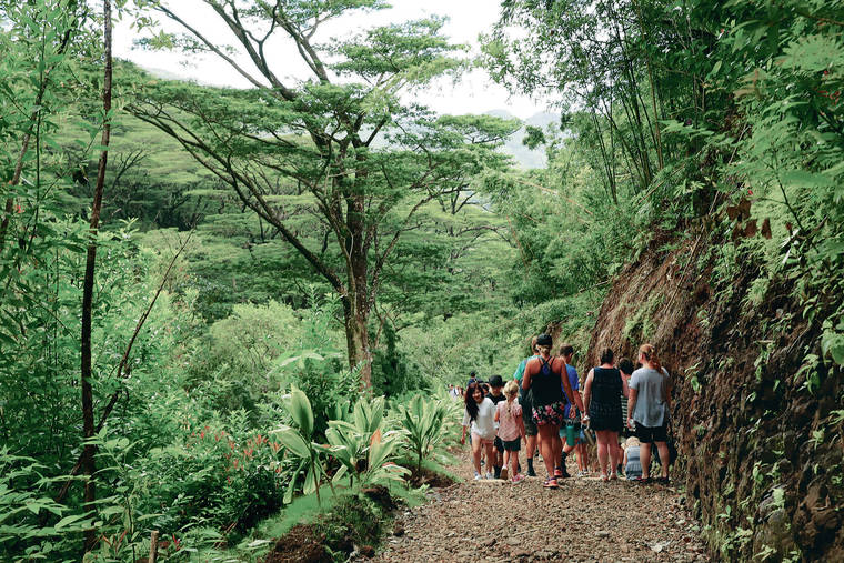 JAMM AQUINO / JAQUINO@STARADVERTISER.COM
                                The Manoa Falls hiking trail reopened to the public Saturday, coinciding with National Trails Day. Hikers of all ages explored the popular trail that had been closed for two years.