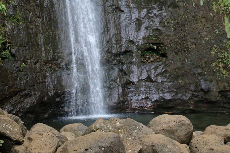 COURTESY DLNR
                                Manoa Falls Trail