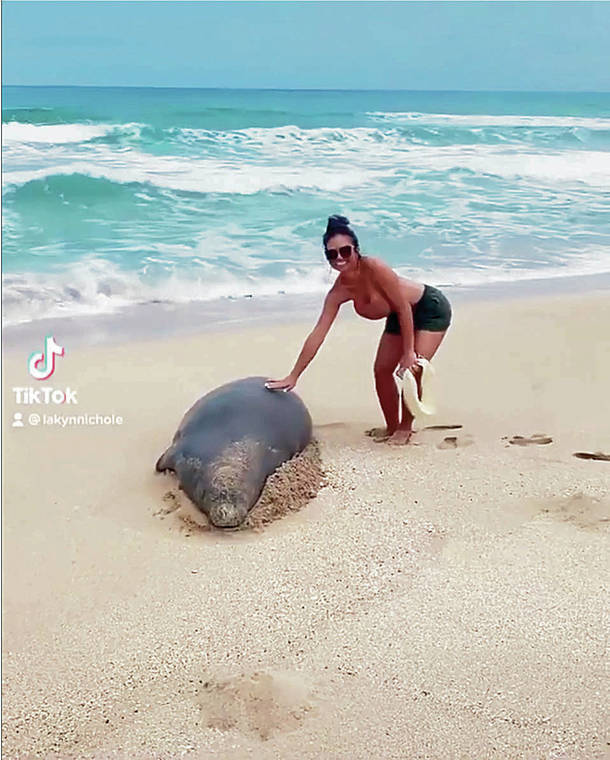 SCREEN GRAB VIA TIK-TOK
                                A visitor to Kauai known only as Lakyn touched a Hawaiian monk seal recently, only to be chased away.