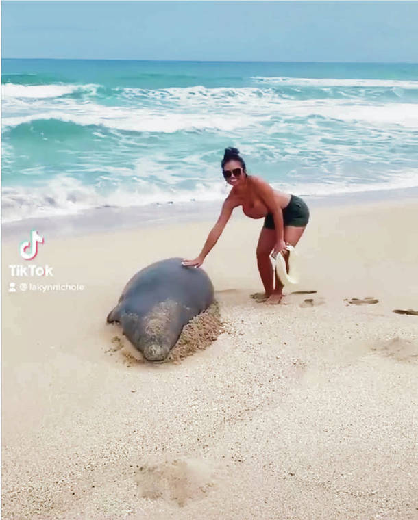 COURTESY TIKTOK
                                These images from a TikTok post show a visitor to Kauai known only as Lakyn touching a Hawaiian monk seal recently, only to be scared away when the seal reacts. The woman and her husband will pay a fine assessed by authorities.