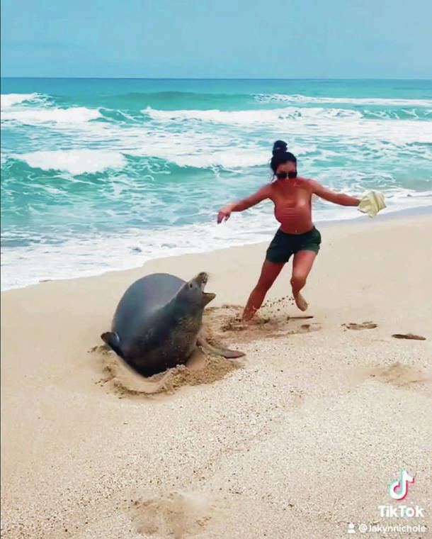 SCREEN GRAB VIA TIKTOK
                                A visitor to Kauai known only as Lakyn touched a Hawaiian monk seal recently, only to be chased away.