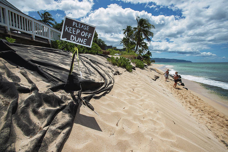 CINDY ELLEN RUSSELL / 2020
                                To protect their properties, homeowners have skirted Hawaii’s environmental laws by winning emergency exemptions from the state to install large mounds of sandbags and drape heavy tarps along the state’s public beaches. “Sand burritos” armor the coastline at Laniakea Beach on Oahu’s North Shore.