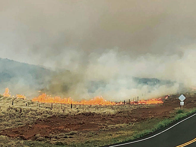 COURTESY TIM RICHARDS
                                Smoke and flames from the Waimea wildfire are seen on the Big Island today.