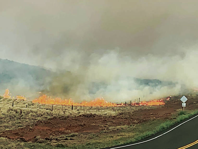 COURTESY TIM RICHARDS
                                Smoke and flames from a large wildfire were seen Sunday on the Big Island.