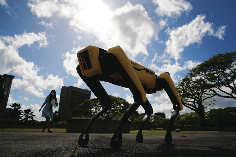 JAMM AQUINO / MAY 11
                                The Honolulu Police Department’s new Spot robot is designed and manufactured by Boston Dynamics and was purchased with CARES Act money in 2020 for outreach and community care use, including providing medical care and temperature-taking.