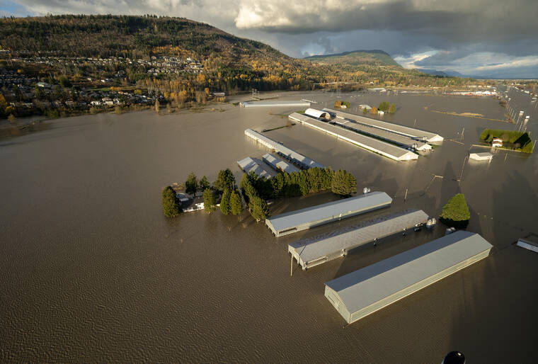 JONATHAN HAYWARD/THE CANADIAN PRESS VIA AP / NOV. 16
                                Rising flood waters are seen surrounding barns in Abbotsford, British Columbia.