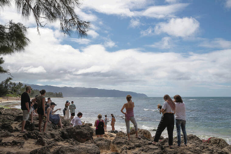 CINDY ELLEN RUSSELL / CRUSSELL@STARADVERTISER.COM
                                A crowd gathered to view a sea turtle that was sunbathing on the beach.