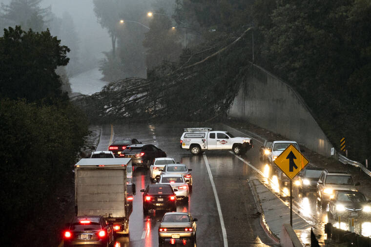 SAN FRANCISCO CHRONICLE VIA AP
                                A large eucalyptus tree blocks the northbound lanes of Highway 13 just past Redwood Road in Oakland, Calif., Thursday, as heavy rain falls across the region.