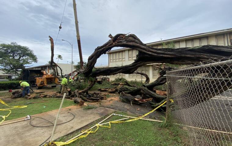 CINDY ELLEN RUSSELL / CRUSSELL@STARADVERTISER.COM
State-contracted workers cut and shred a large Keawe tree which toppled over at 6:50 p.m.Monday night due to heavy rains at Farrington High School in Kalihi.