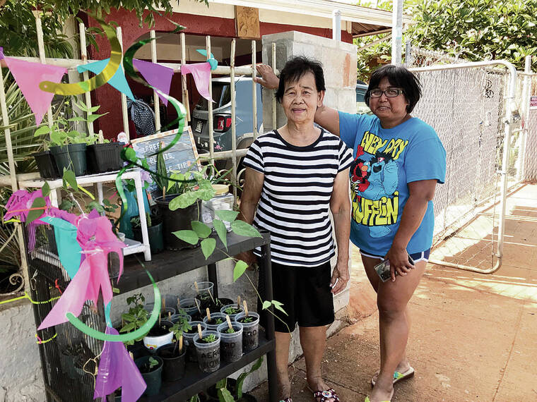 COURTESY PHOTO
                                Norma and Beatriz Capati with the free plant offerings at their home in Ewa Beach.
