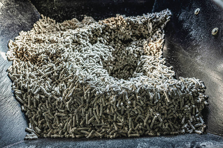 NEW YORK TIMES
                                Fuel pellets made from shredded adult diapers in Houki, Japan, on Oct. 7, 2021. Turning used diapers into fuel pellets helps municipalities spend less money on waste management and reduces carbon emissions.