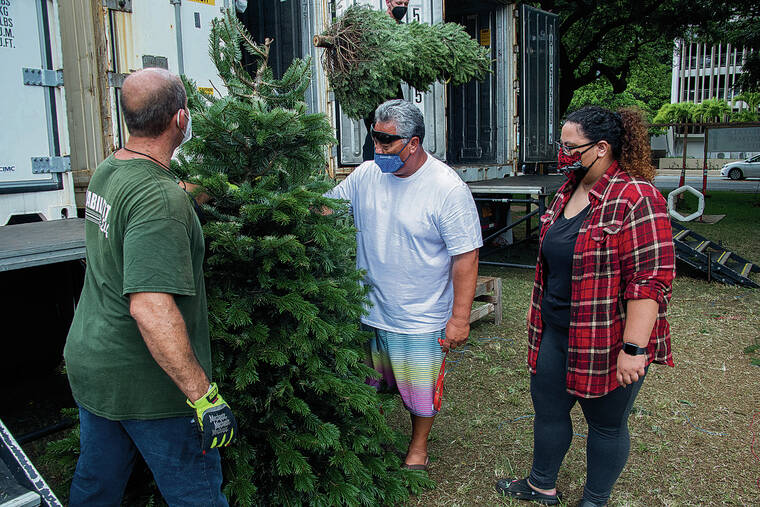 CRAIG T. KOJIMA / CKOJIMA@STARADVERTISER.COM
                                Amanda Pruett was with her father, Hubert Pruett, as they searched for the perfect tree. Habilitat selling Christmas trees as a fundraiser for the 47th year. They are selling at Central Union Church and other locations while supplies last.