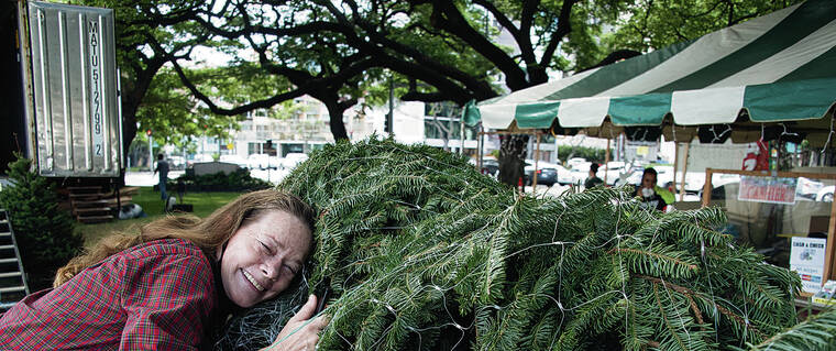 CRAIG T. KOJIMA / CKOJIMA@STARADVERTISER.COM
                                Christina Sundling, working on the Central Union Church’s food distribution project, was surprised with a tree gifted to her from Habilitat. Habilitat selling Christmas trees as a fundraiser for the 47th year. They are selling at Central Union Church and other locations while supplies last.