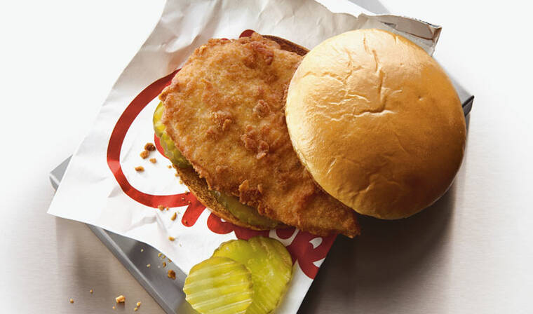 COURTESY CHICK-FIL-A, INC.
                                A picture of the the chicken sandwich from Chick-fil-A.