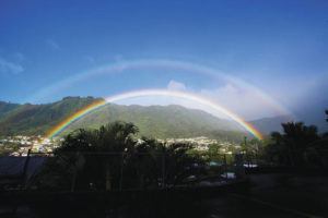 STAR-ADVERTISER
                                The “Manoa Mist” drifts through the valley forming a double rainbow over Manoa.