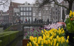 PETER DEJONG / AP People wait on bridges for a free bouquet of tulips in Amsterdam, Netherlands.