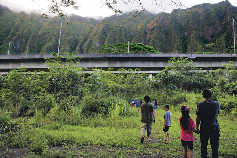 JAMM AQUINO / JAQUINO@STARADVERTISER.COM
                                Mark Paikuli-Stride, right, walked with his family toward one of their loi near the H-3 Freeway on Saturday in Kaneohe. Paikuli-Stride farms and lives on land in Luluku.