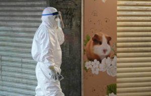 ASSOCIATED PRESS
                                A staffer from the Agriculture, Fisheries and Conservation Department walked past a pet shop that was closed after some pet hamsters, authorities said, tested positive for the coronavirus, in Hong Kong, Tuesday.