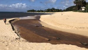 STAR-ADVERTISER / 2020
                                Brown water runoff at Sunset Beach on the north shore of Oahu.