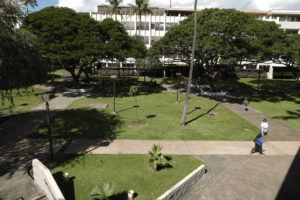 STAR-ADVERTISER FEBRUARY 2020
                                People walked the campus at the University of Hawaii-Manoa. The University of Hawaii’s 10 campuses are extending online learning by a week because of the state’s record-high case numbers in the COVID-19 omicron variant surge.