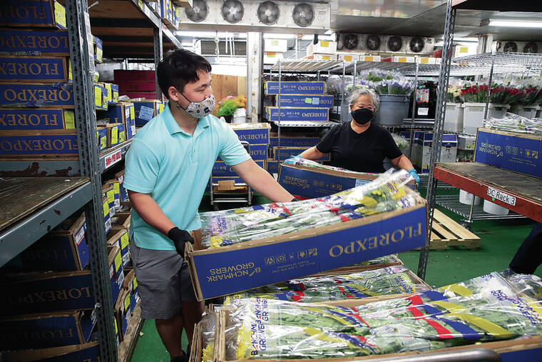 JAMM AQUINO / JAQUINO@STARADVERTISER.COM
                                Watanabe Floral operations manager Justin Watanabe, left, and receiving team member Lock Eguchi unwrapped flowers just delivered Thursday inside one of the floral coolers.