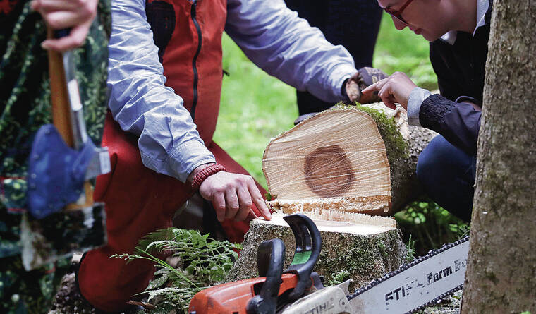 ASSOCIATED PRESS / 2018
                                Students at Dartmouth College in Hanover, N.H., examine the growth rings of an ash tree felled by Dartmouth forester Kevin Evans.