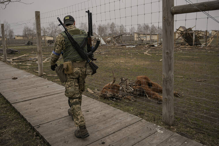 ASSOCIATED PRESS
                                A Ukrainian serviceman walked by an animal that was killed during fighting at a heavily damaged private zoo while soldiers and volunteers attempted to evacuate the surviving animals to safety in the village of Yasnohorodka, on the outskirts of Kyiv, Ukraine, today. The evacuation was halted before completion as shelling resumed between Russian and Ukrainian forces in the area.