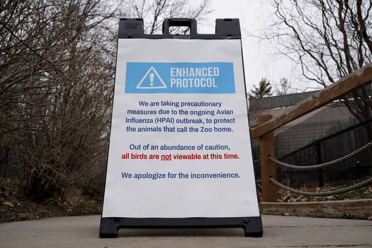 ASSOCIATED PRESS
                                A sign is displayed instructing visitors of a closed bird exhibit at the Blank Park Zoo in Des Moines, Iowa. Zoos across North America are moving their birds indoors and away from people and wildlife as they try to protect them from the highly contagious and potentially deadly avian influenza. Penguins may be the only birds visitors to many zoos can see right now, because they already are kept inside and usually protected behind glass in their exhibits, making it harder for the bird flu to reach them.