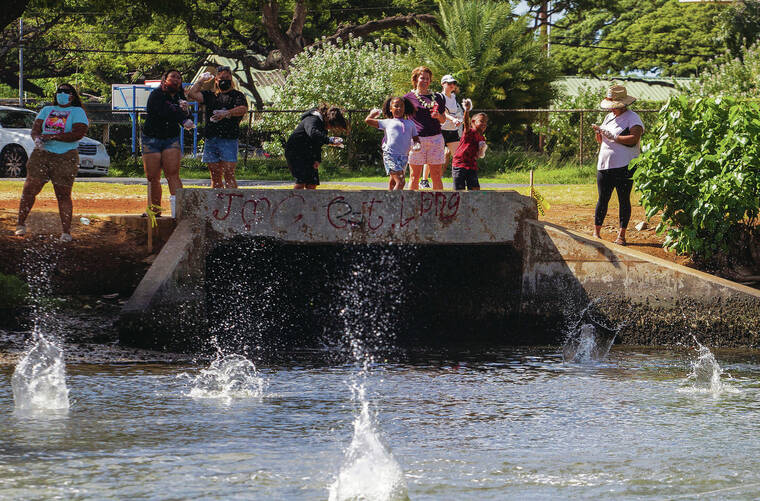 CINDY ELLEN RUSSELL / CRUSSELL@STARADVERTISER.COM
                                Members of the Genki Ala Wai Project and the Eco Rotary Club of Kakaako, along with other corporate and local sponsors, threw 5,000 genki balls into the Ala Wai Canal on April 2.