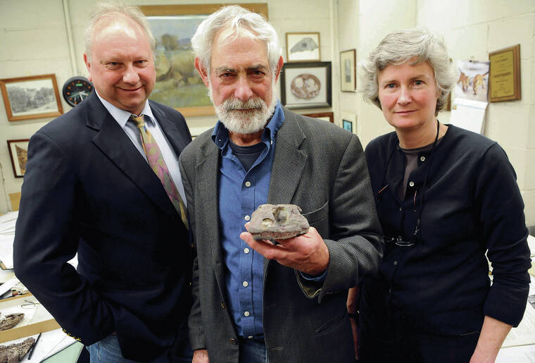 PITTSBURGH POST-GAZETTE
                                Carnegie Museum of Natural History’s curator of vertebrate paleontology David S. Berman, center, flanked by colleagues Albert D. Kollar, left, and Amy C. Henrici, holds the fossil of a trematopid temnospondyl amphibian — a new genus and species of carnivorous amphibian.