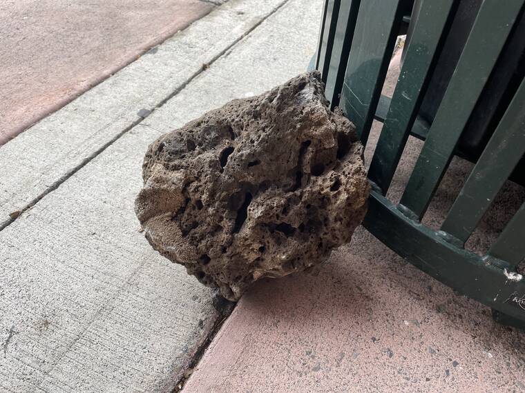 Kailua merchants believe the suspects used a rock, possibly the one pictured here by the trash can at Kailua Shopping Center, to smash their glass doors and windows early this morning. Star-Advertiser photo.