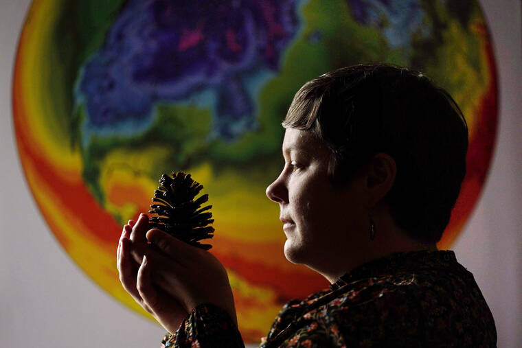 ASSOCIATED PRESS
                                University of Maine climate scientist Jacquelyn Gill examines a cone from a western pine at the Sawyer Environmental Research Center, Wednesday in Orono, Maine. Gill says her work as a paleo-ecologist and climatologist has given her hope for the Earth’s resilience despite global warming. Climate scientists who have been through a lot both personally and professionally say the key is often action.