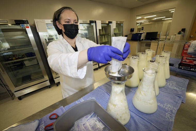 ASSOCIATED PRESS
                                Rebecca Heinrich, director of the Mothers’ Milk Bank, loaded frozen milk donated by lactating mothers from plastic bags into bottles for distribution to babies, today, at the foundation’s headquarters in Arvada, Colo.