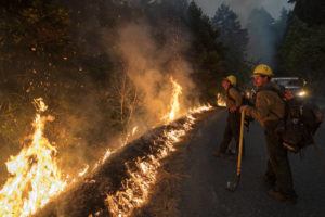 ASSOCIATED PRESS / 2020
                                Firefighters monitor a controlled burn along Nacimiento-Fergusson Road to help contain the Dolan Fire near Big Sur, Calif.