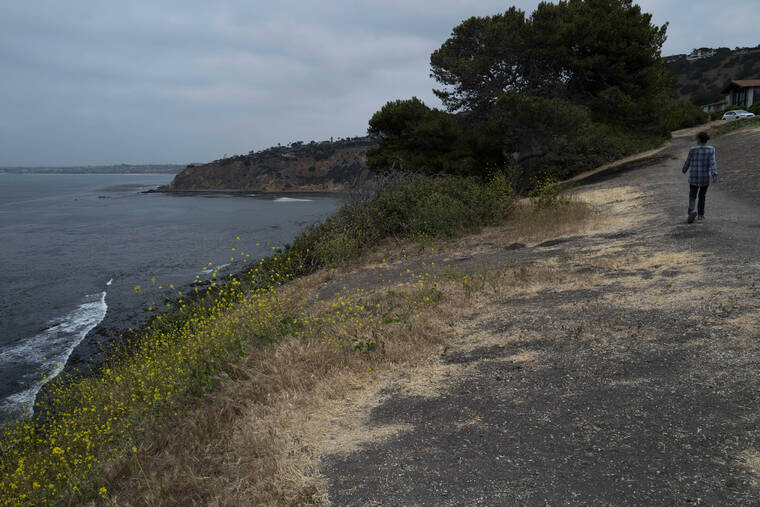 ASSOCIATED PRESS
                                A woman strolled along an ocean cliff in Palos Verdes Estates, Calif., today. Four people fell off a Southern California ocean cliff in the early morning darkness today and a man was killed and two women were critically injured, authorities said.