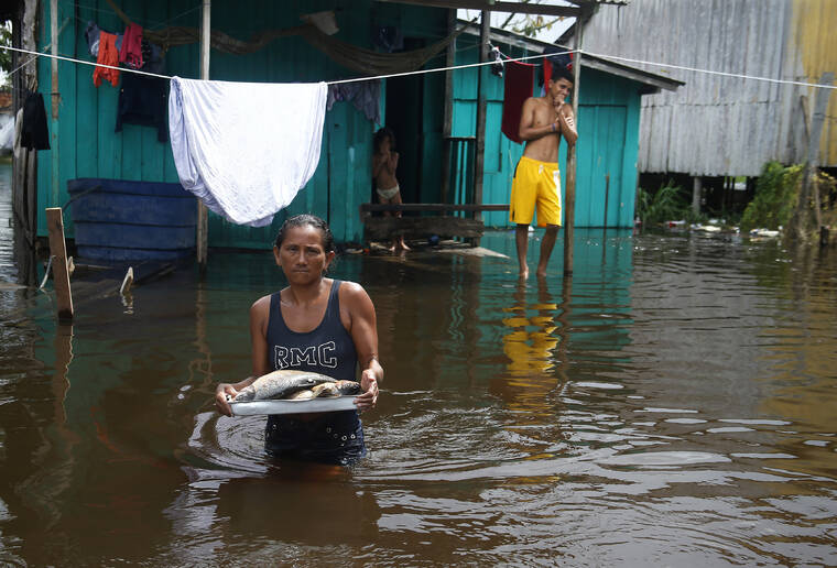 ASSOCIATED PRESS
                                Edileuza Pereira da Silva carries a plate with fish for cooking outside her home, flooded by the rise of the Negro river in Iranduba, Amazonas state, Brazil. The Amazon region is being hit hard by flooding with 35 municipalities that are facing one of their worst floods in years and the water level is expected to rise over the coming months.