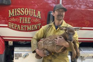 NATE SINK / AP / MAY 21
                                In this photo provided by Nate Sink, the Missoula, Montana-based firefighter, cradles a newborn elk calf that he encountered in a remote, fire-scarred area of the Sangre de Cristo Mountains near Mora, N.M.